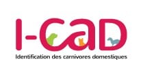 Logo I-CAD